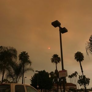 Meet your Posher, Mackenzie